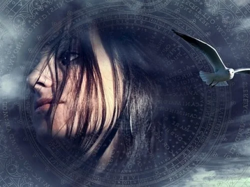 JUNO BURCU HESAPLAMA